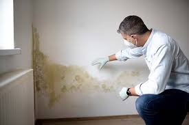 Best Residential Mold Inspection & Testing in Treasure Lake, PA